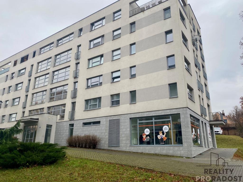 Pronájem bytu 1+kk 42 m2