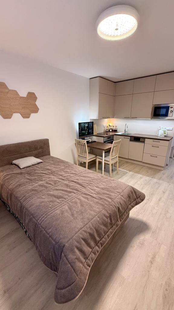 Pronájem bytu 1+kk 27 m2