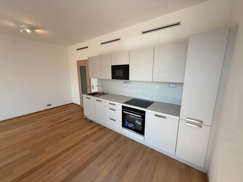 Pronájem bytu 1+kk 45 m2
