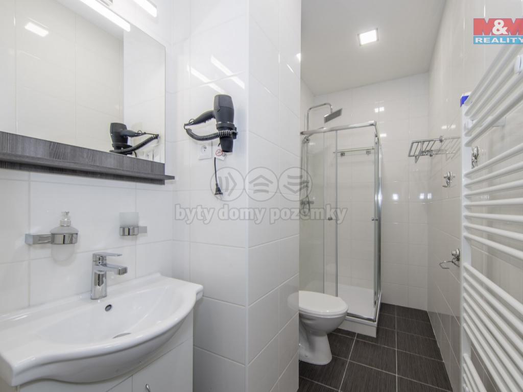Pronajem bytu 2+kk 44 m2