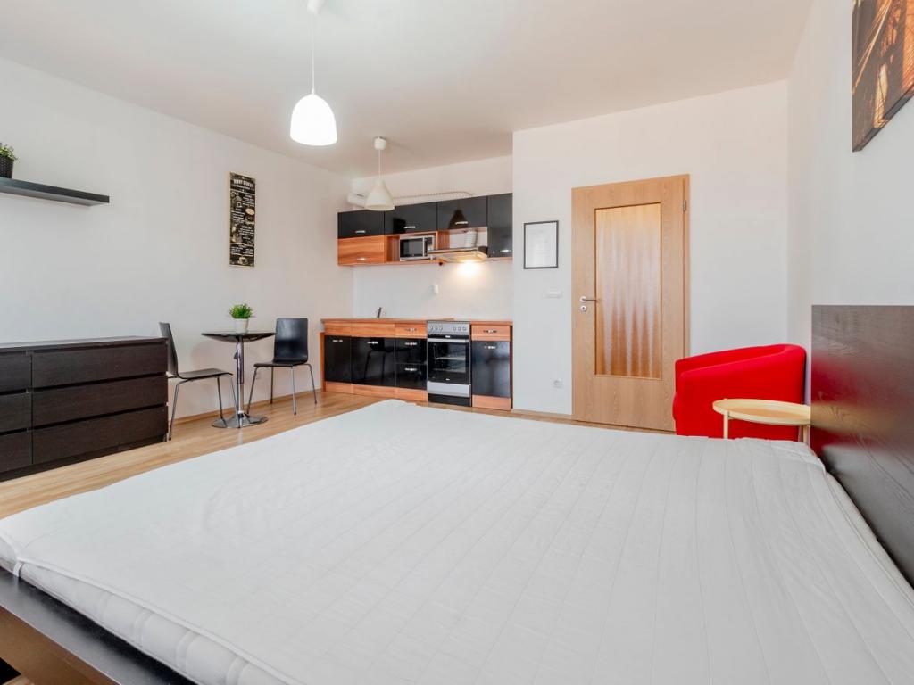 Pronajem bytu 1+kk 40 m2