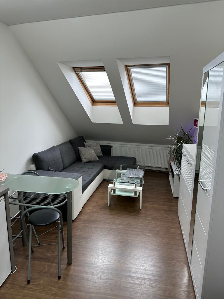 1-room apartment for rent · 27 m² · Brno — 647 €/mo