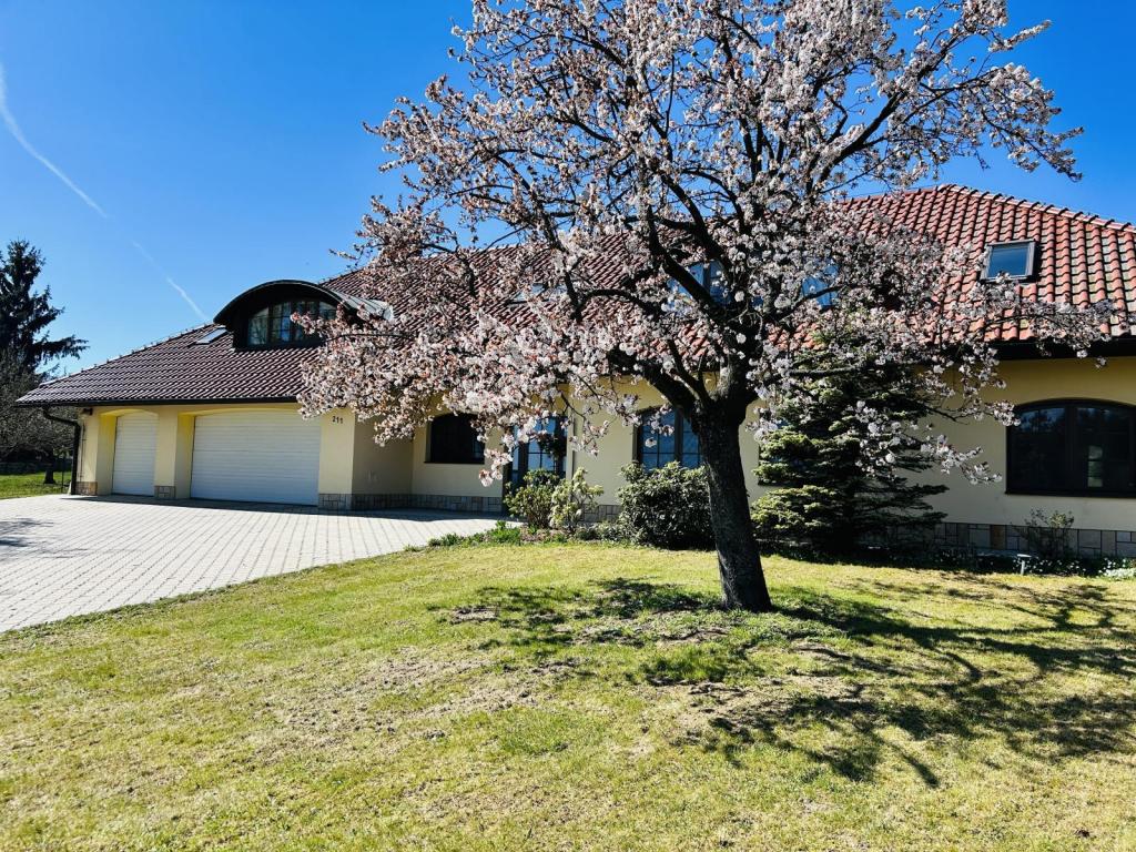 Prodej domu 392 m2