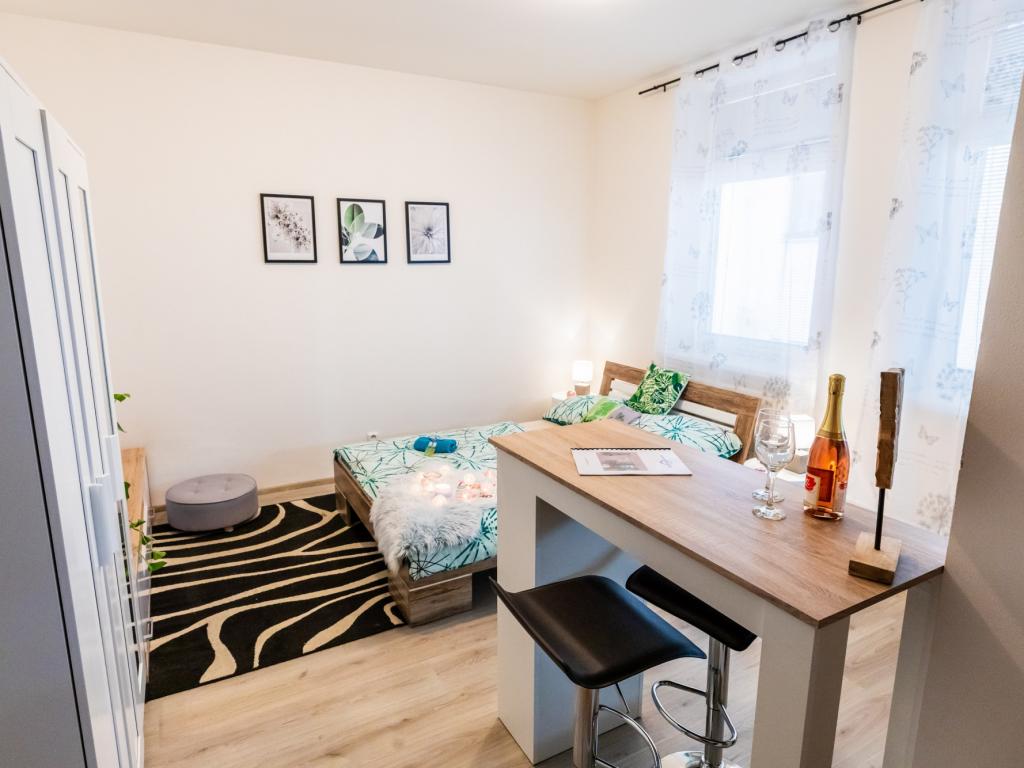 Pronajem bytu 1+kk 31 m2