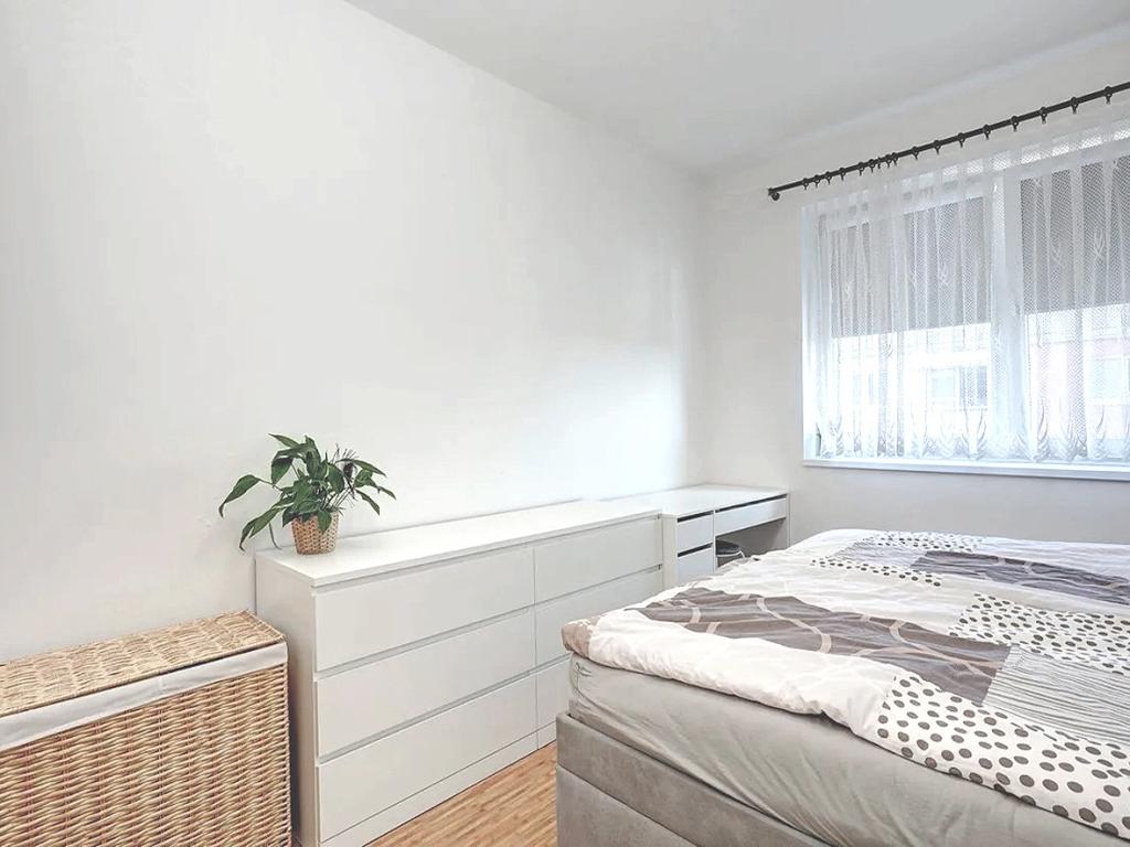 Pronájem bytu 2+kk 55 m2, Brno – náhled fotky 11