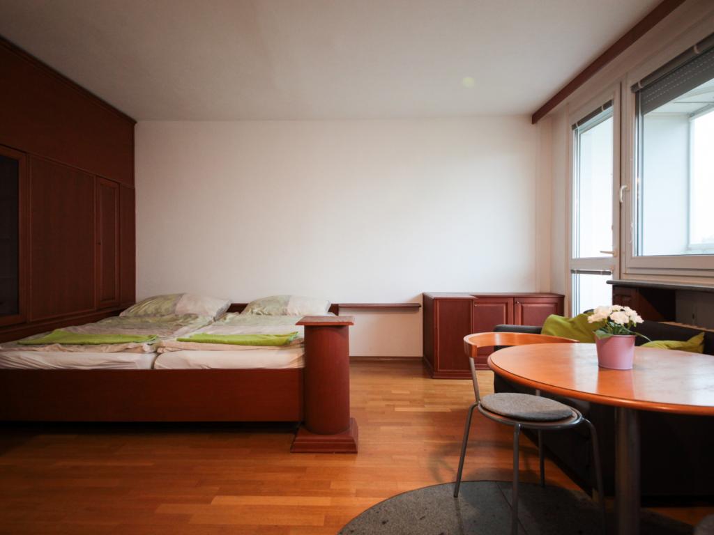 Pronajem bytu 1+1 30 m2