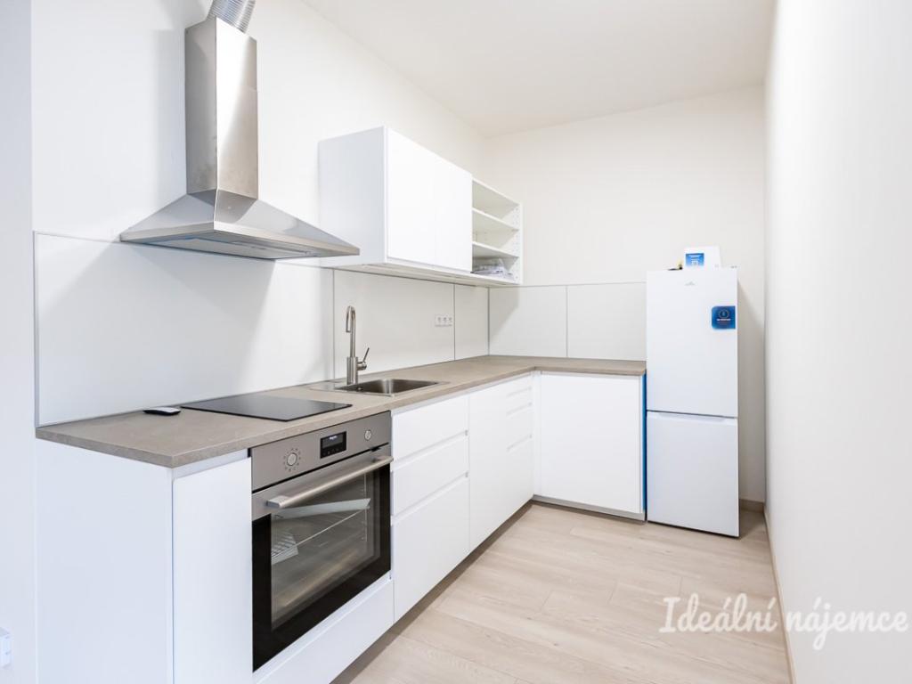 Pronájem bytu 1+kk 39 m2