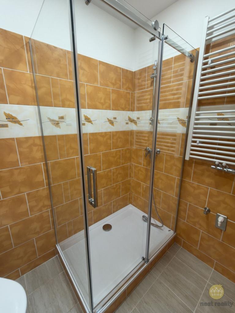 Pronájem bytu 1+1 45 m2