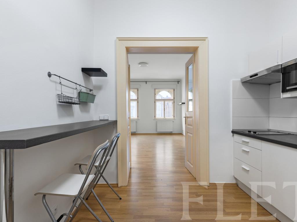 Pronájem bytu 1+1 45 m2