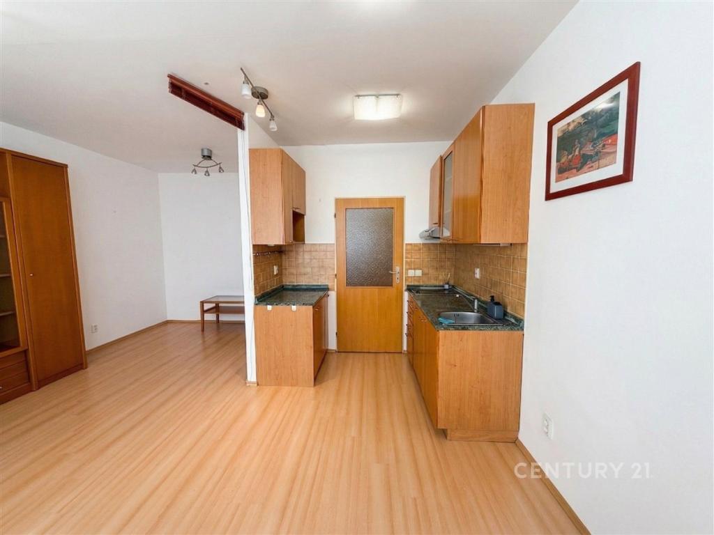 Pronájem bytu 1+kk 29 m2