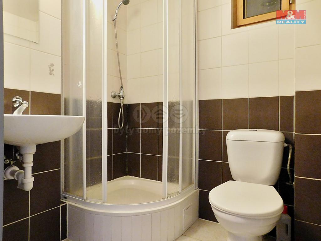 Pronajem bytu 2+1 60 m2