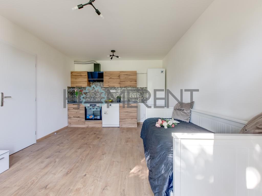 Pronájem bytu 1+kk 38 m2