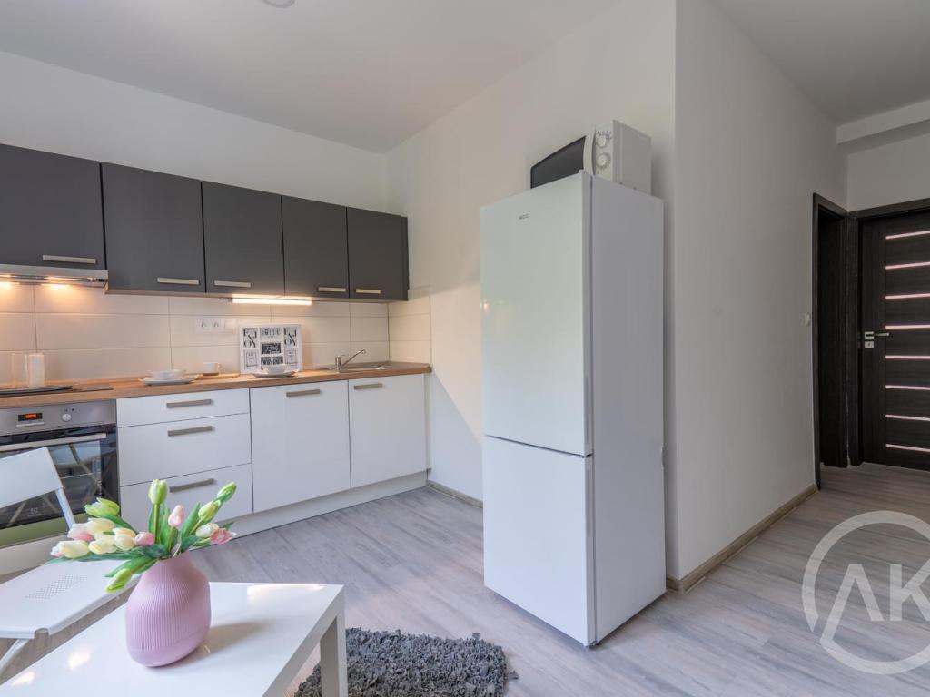 Pronájem bytu 2+1 51 m2