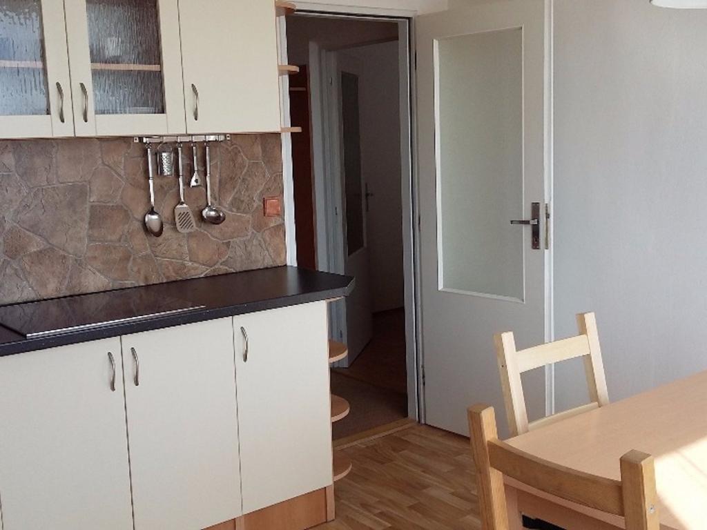 Pronájem bytu 1+1 39 m2