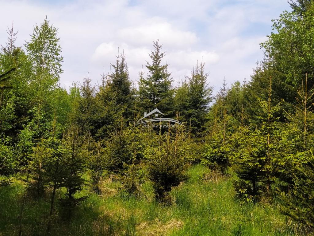 Prodej pozemku – pohled 3