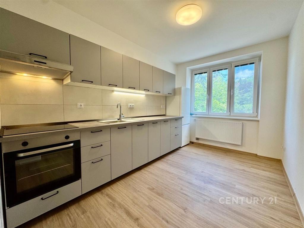 Pronájem bytu 1+1 40 m2