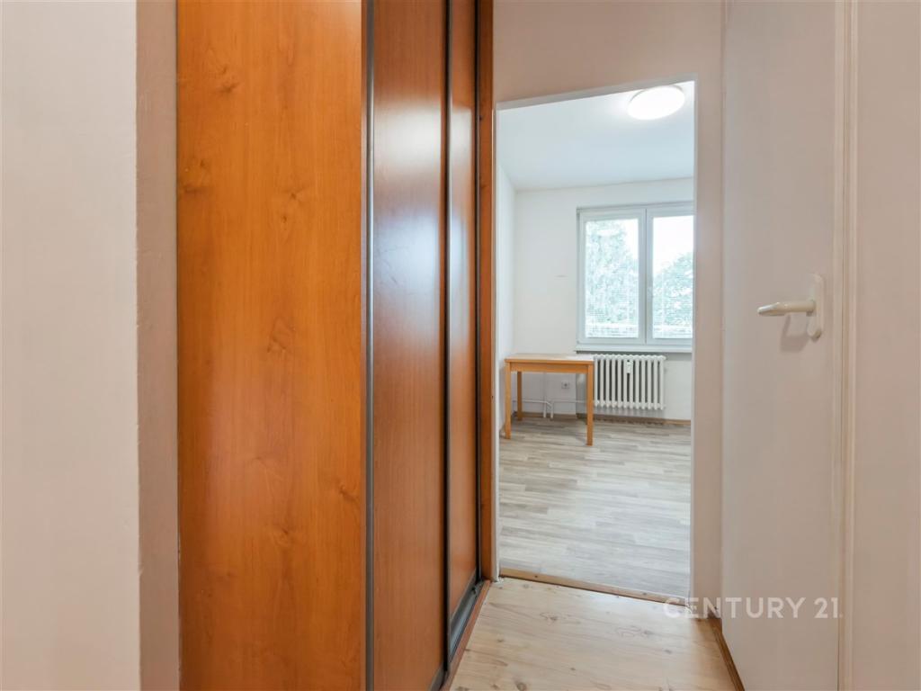 Pronájem bytu 1+1 42 m2