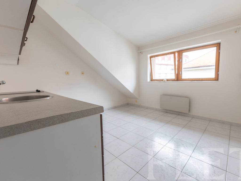 Pronájem bytu 1+1 42 m2