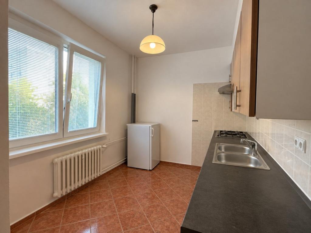 Pronájem bytu 1+1 40 m2