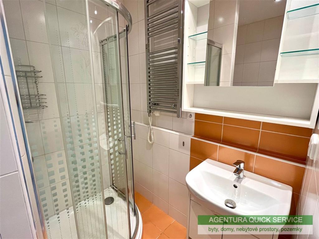 Pronájem bytu 1+kk 30 m2