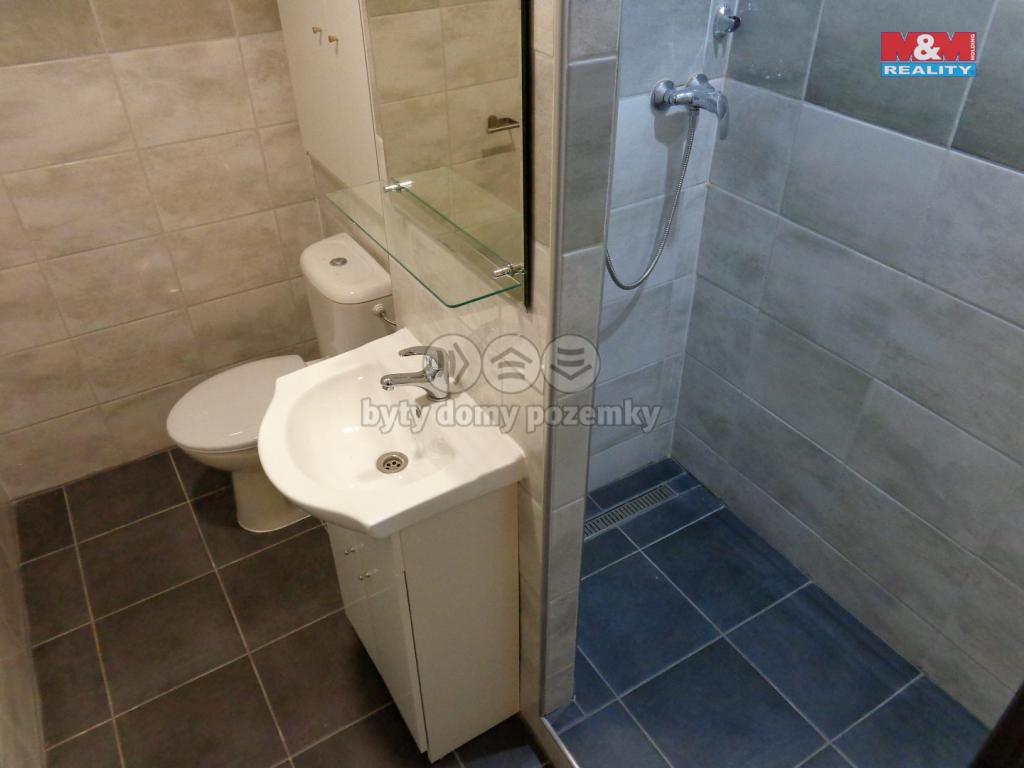 Pronajem bytu 1+kk 33 m2
