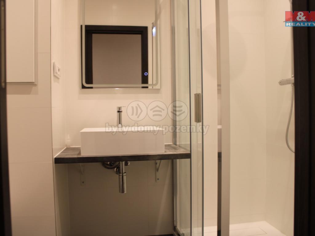 Pronajem bytu 2+1 54 m2