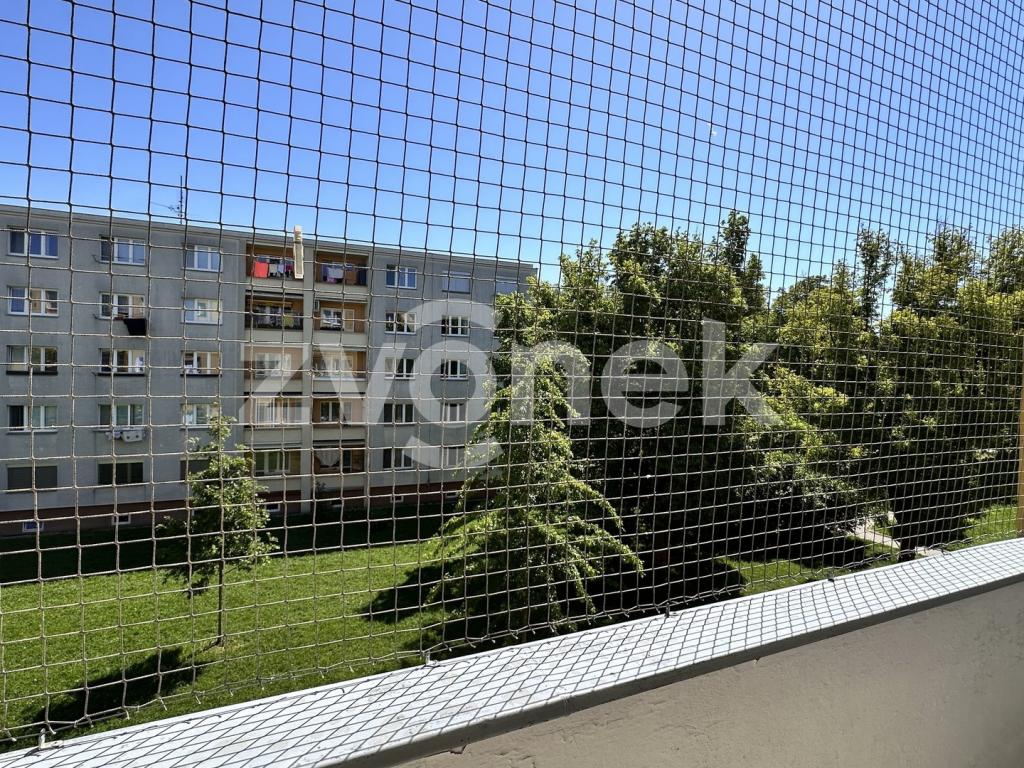 Pronájem bytu 2+1 60 m2