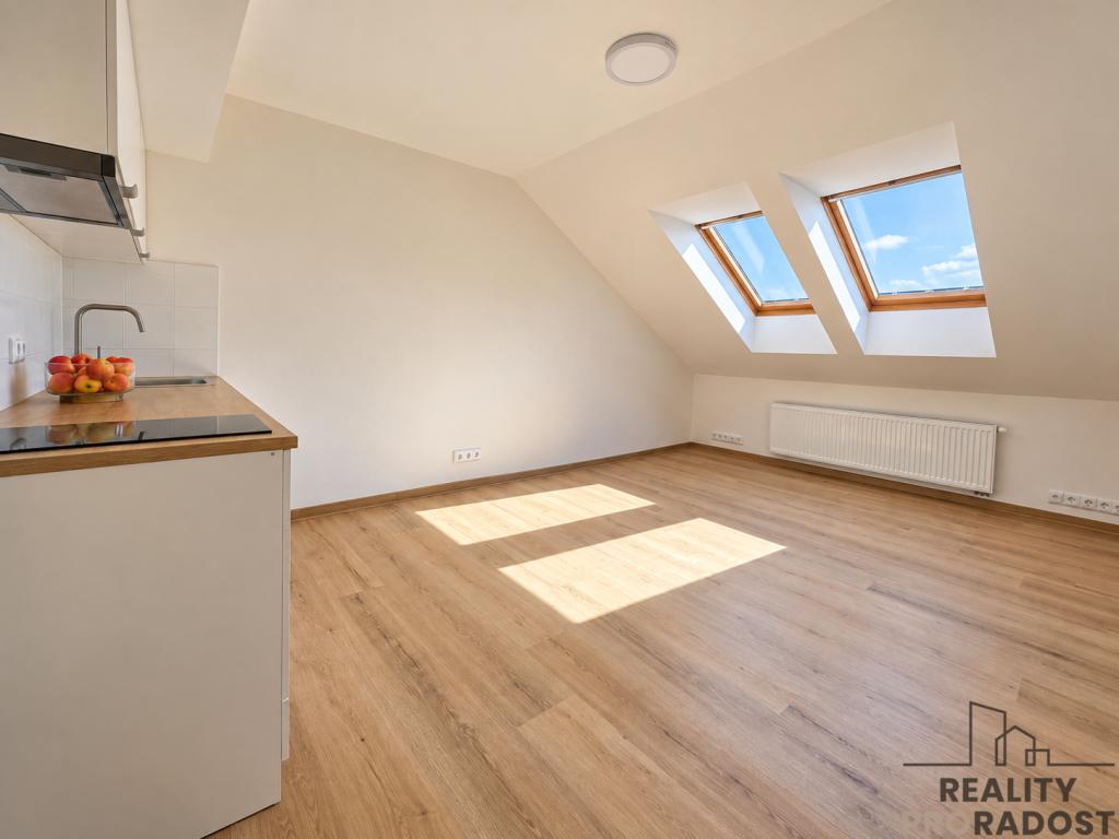 Pronájem bytu 1+kk 24 m2