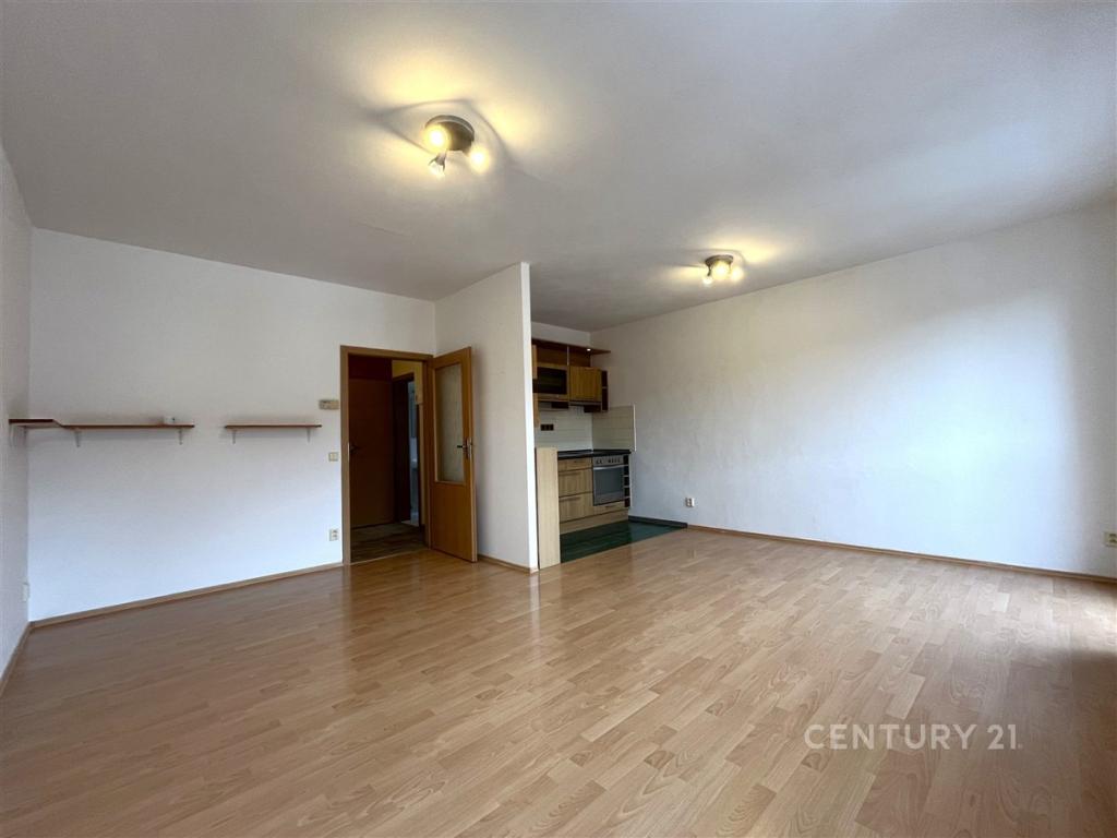 Pronájem bytu 1+kk 49 m2