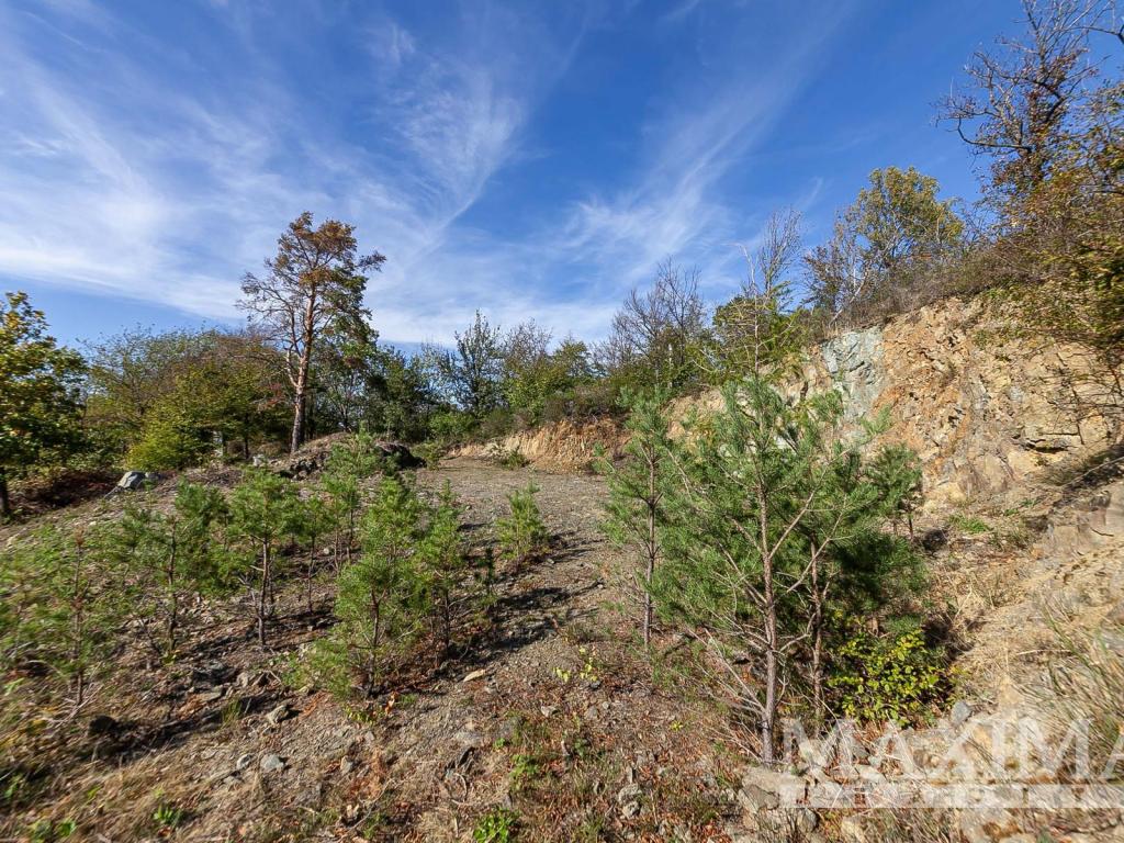Prodej pozemku 7462 m2, Solenice – náhled fotky 14