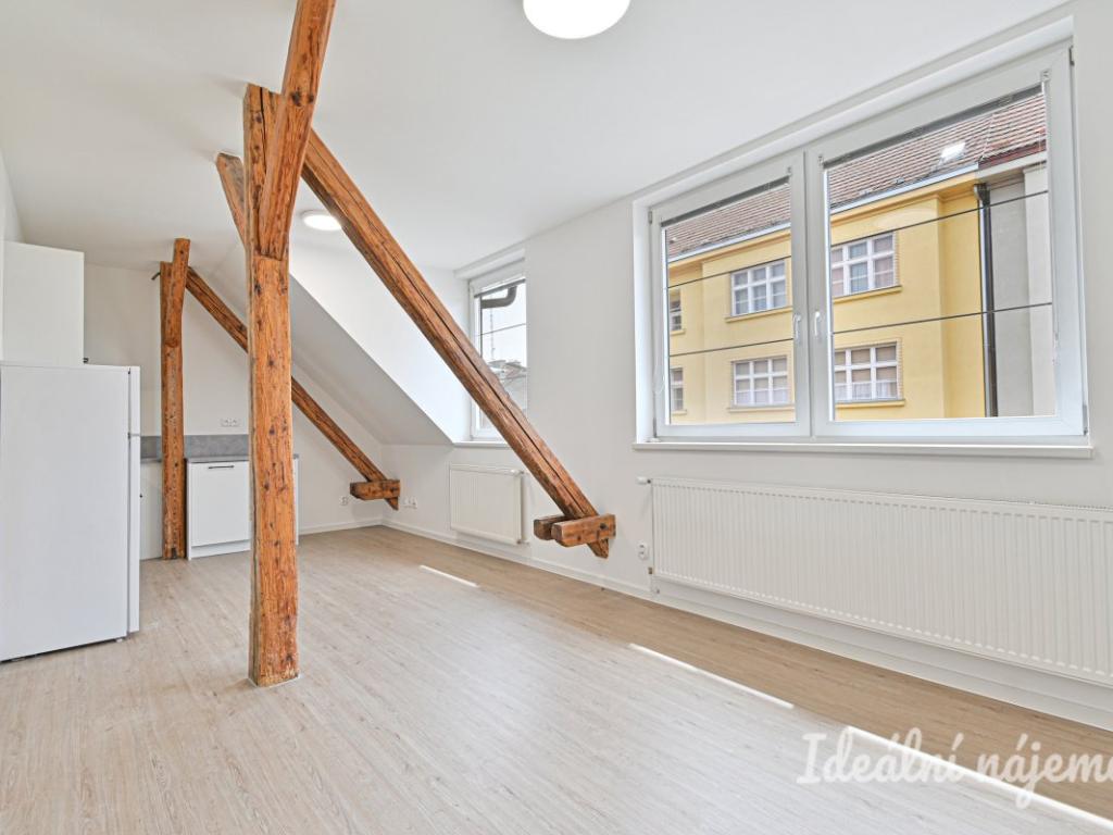 Pronájem bytu 1+1 45 m2