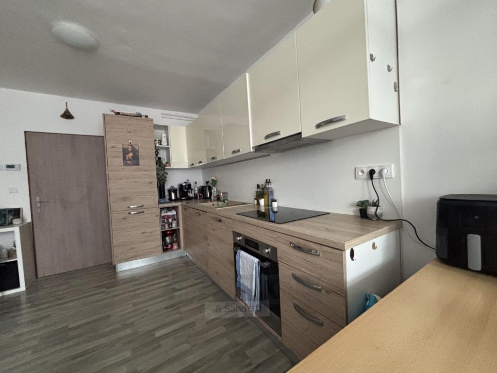 Pronájem 1+1, České Budějovice - Dobrovodská,