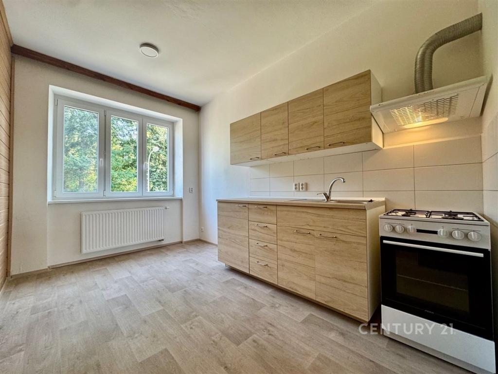 Apartmán 1+1 40 m2 k pronájmu