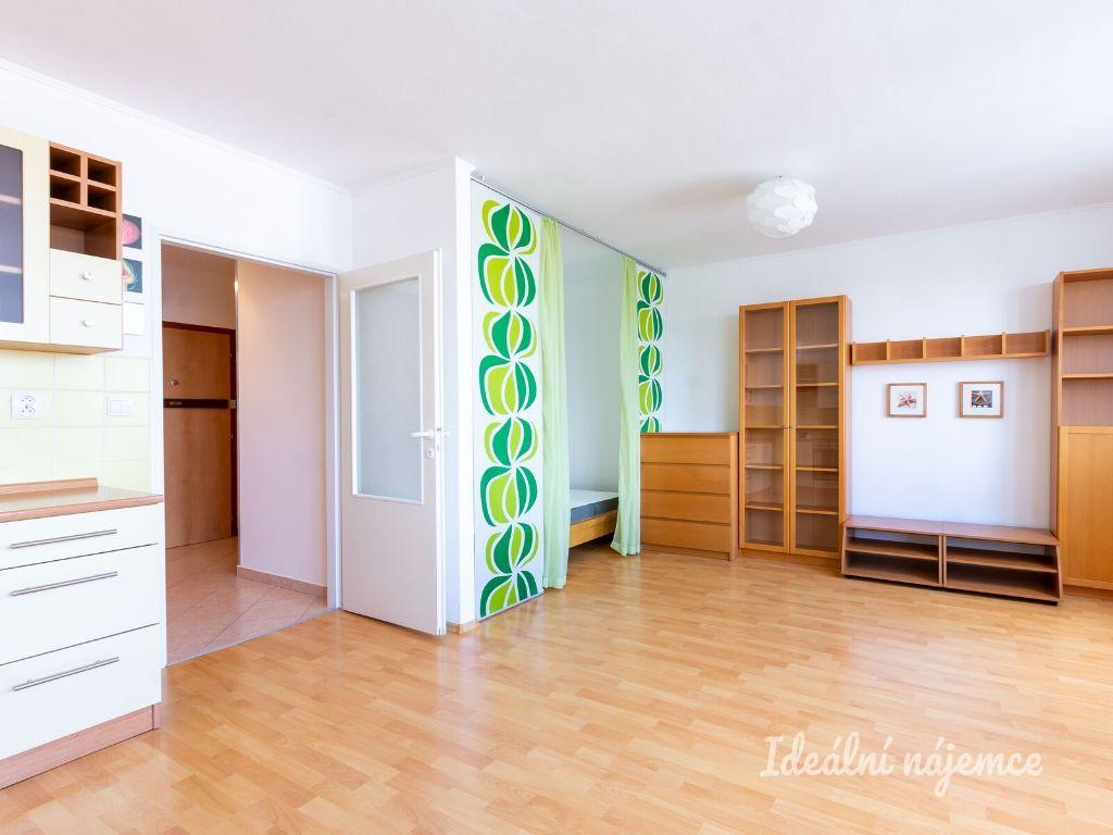 Pronájem bytu 1+kk 40 m2