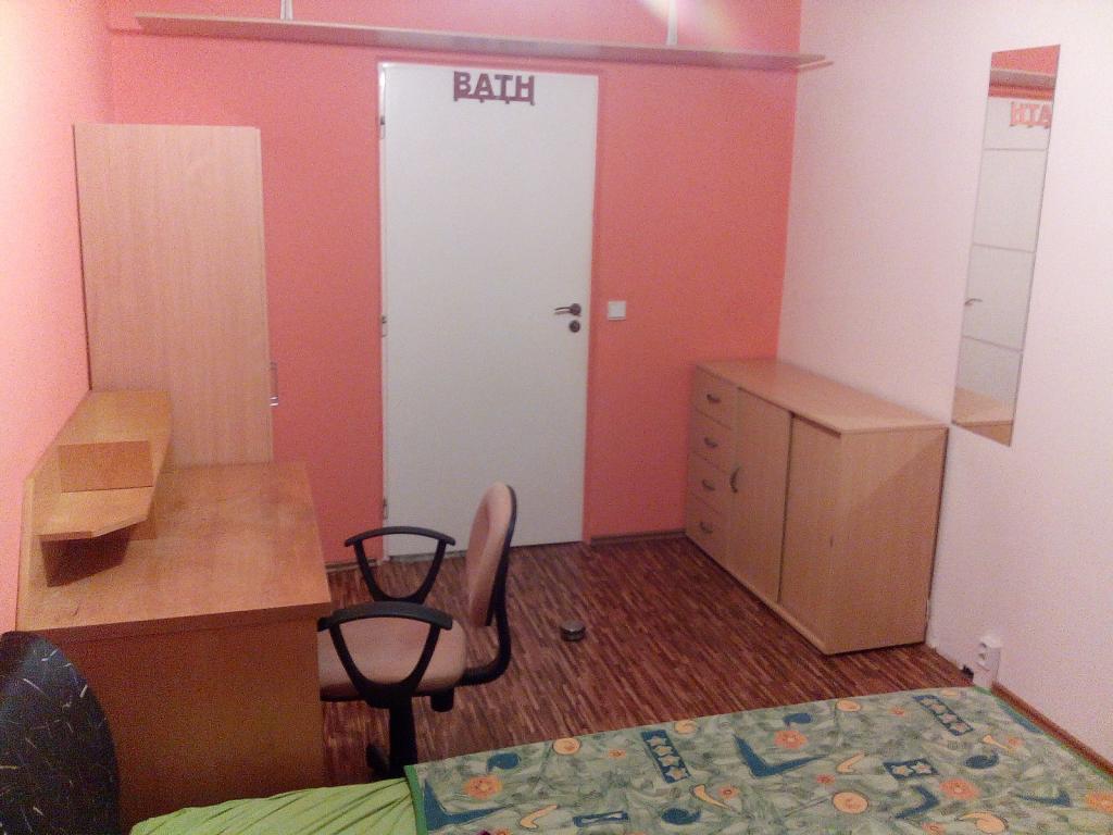 Spolubydleni bytu celý pokoj 13 m2
