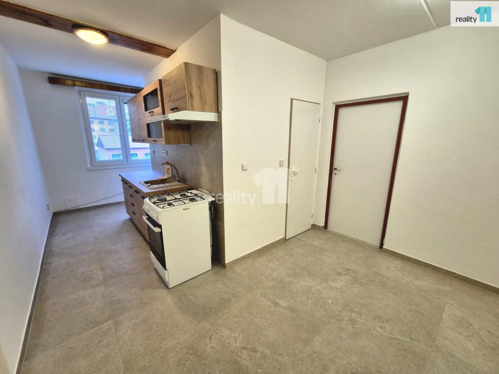 Pronájem bytu 2+1 55 m2