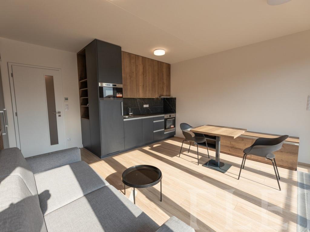 Pronájem bytu 1+kk 34 m2