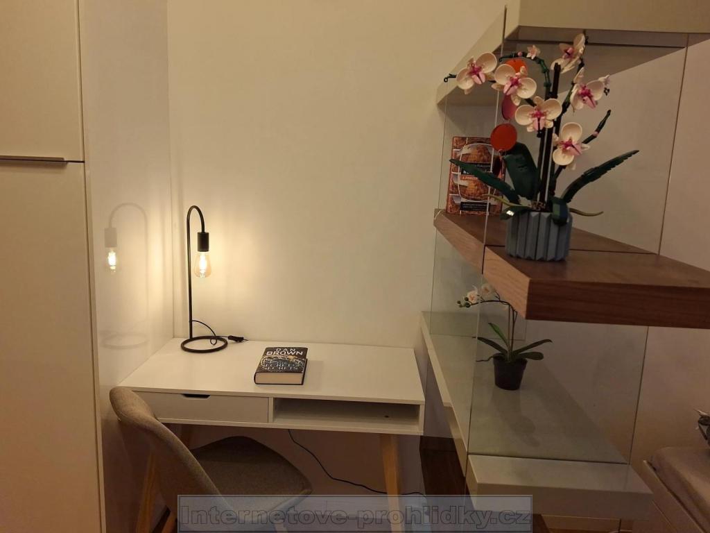 Pronájem bytu 1+kk 23 m2