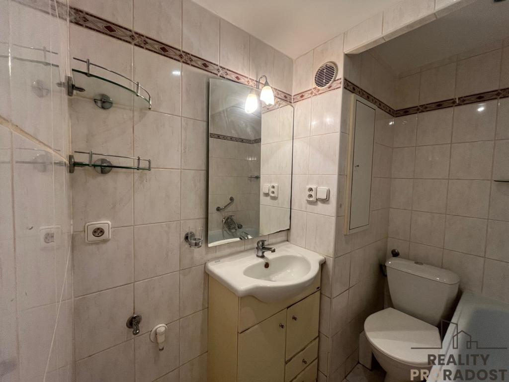 Pronájem bytu 1+1 35 m2