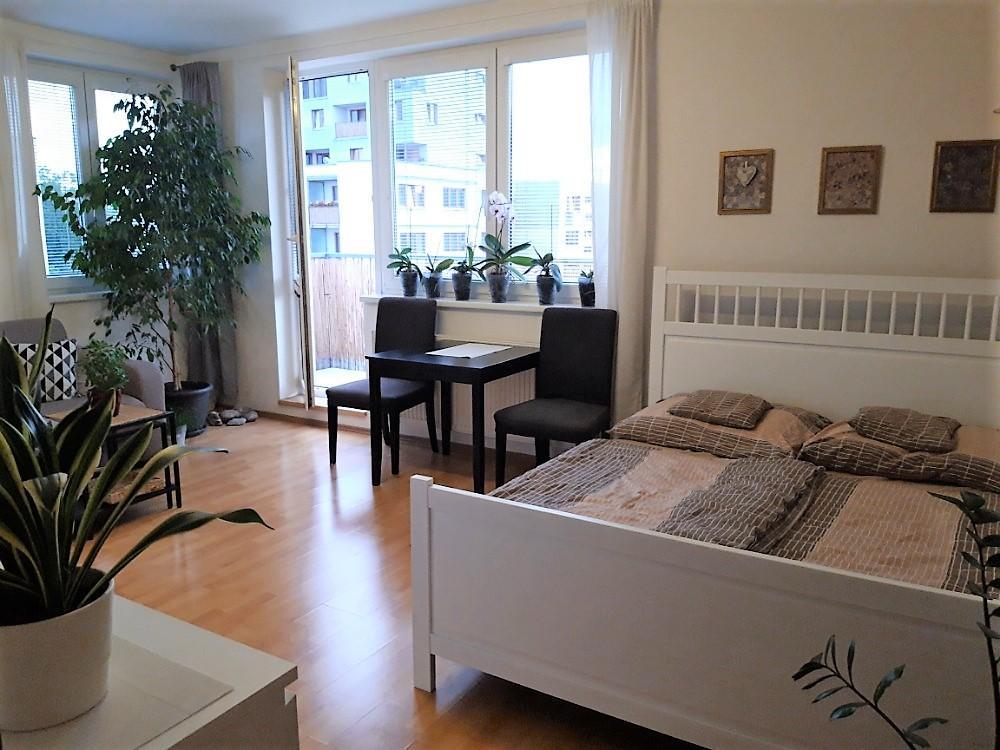 Pronájem bytu 1+kk 37 m2