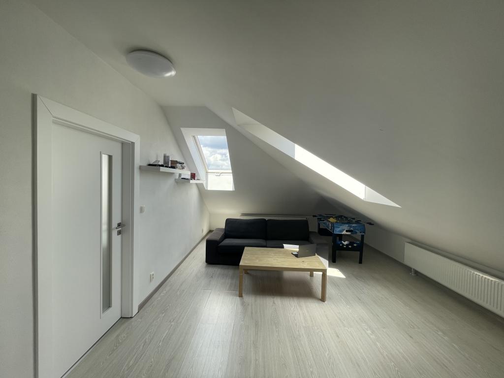 Spolubydleni bytu celý pokoj 30 m2