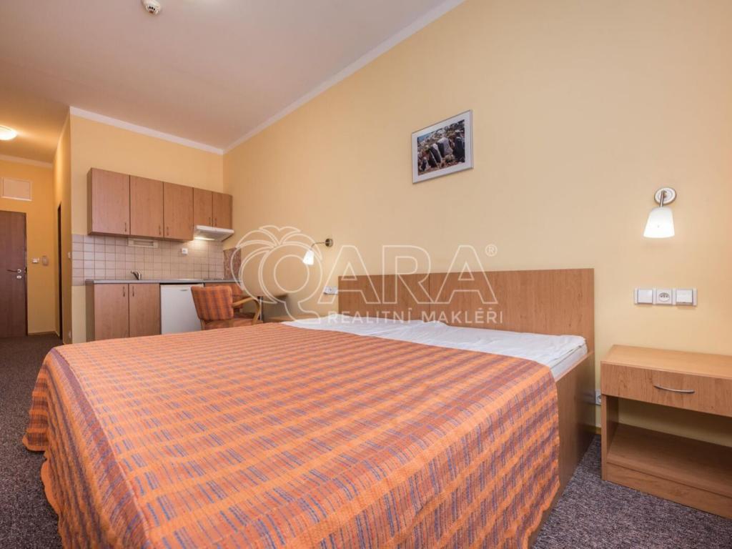 Pronájem bytu 1+kk 25 m2