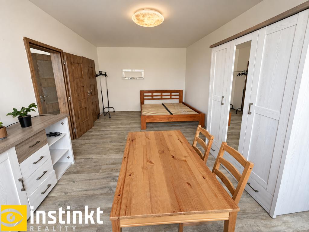 Pronájem bytu 1+1 47 m2