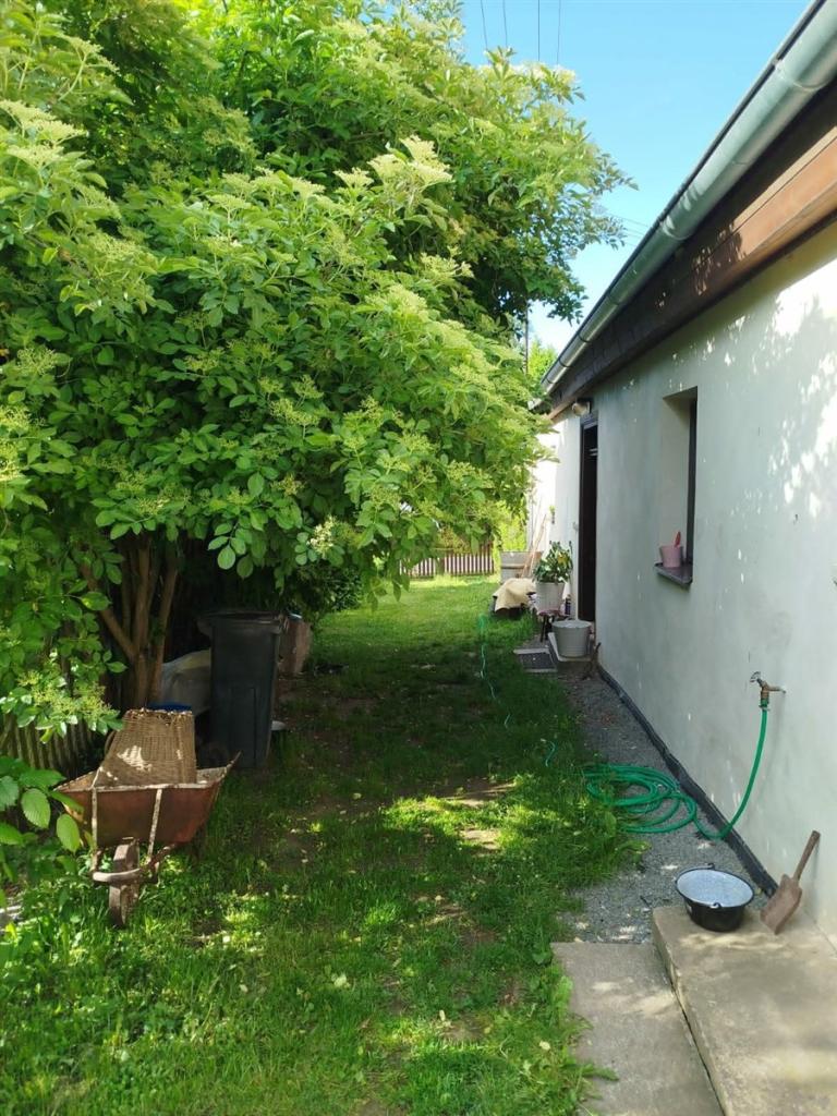Pronájem domu 166 m2
