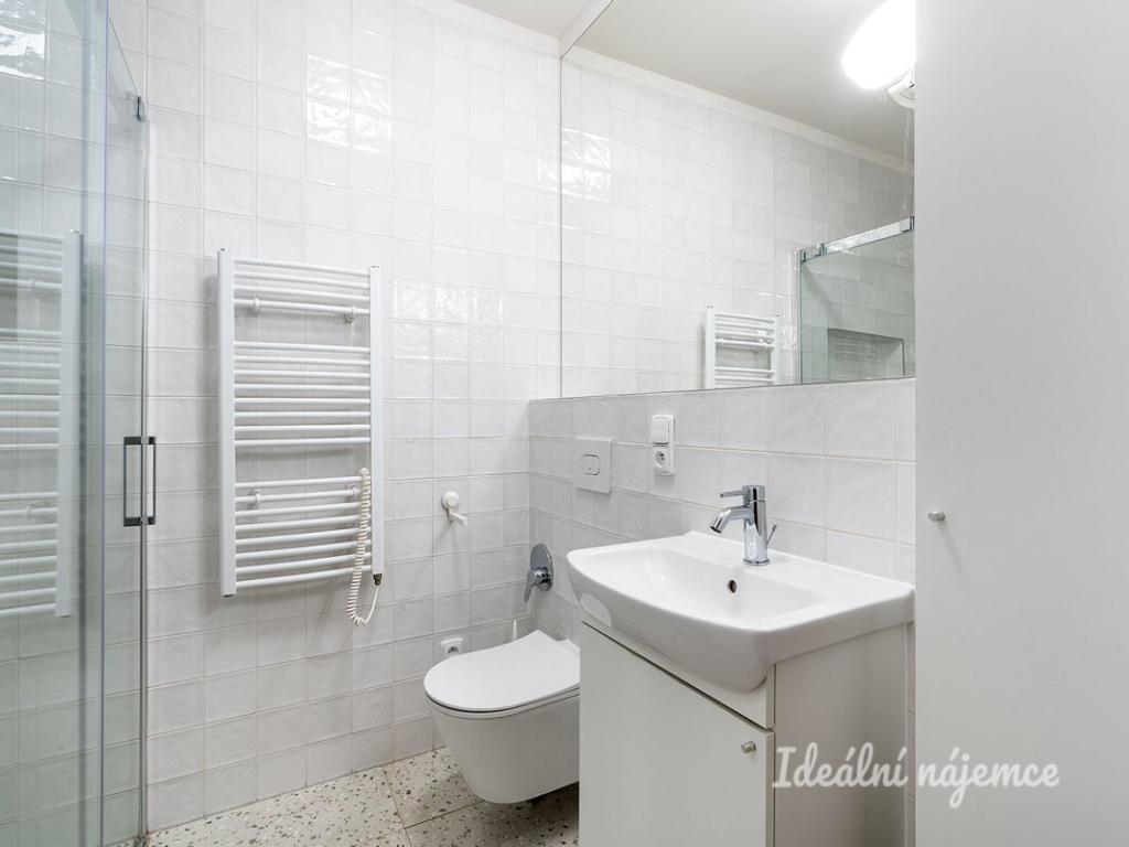 Pronájem bytu 2+1 55 m2