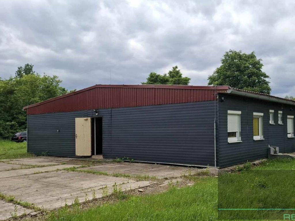 Pronájem bytu 6 a více 250 m2