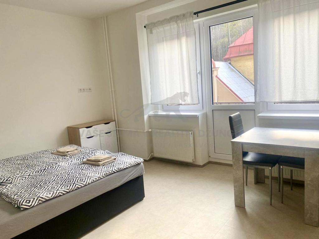 Pronájem bytu 1+kk 25 m2, Jáchymov – náhled fotky 15