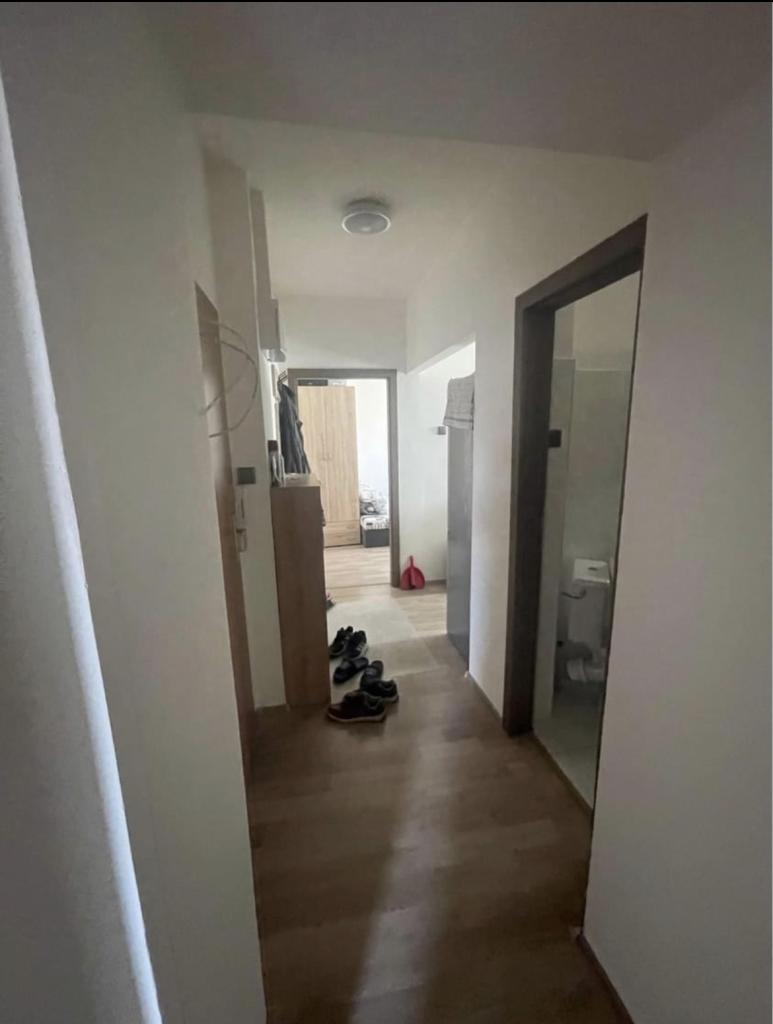 Pronajem bytu celý pokoj 12 m2