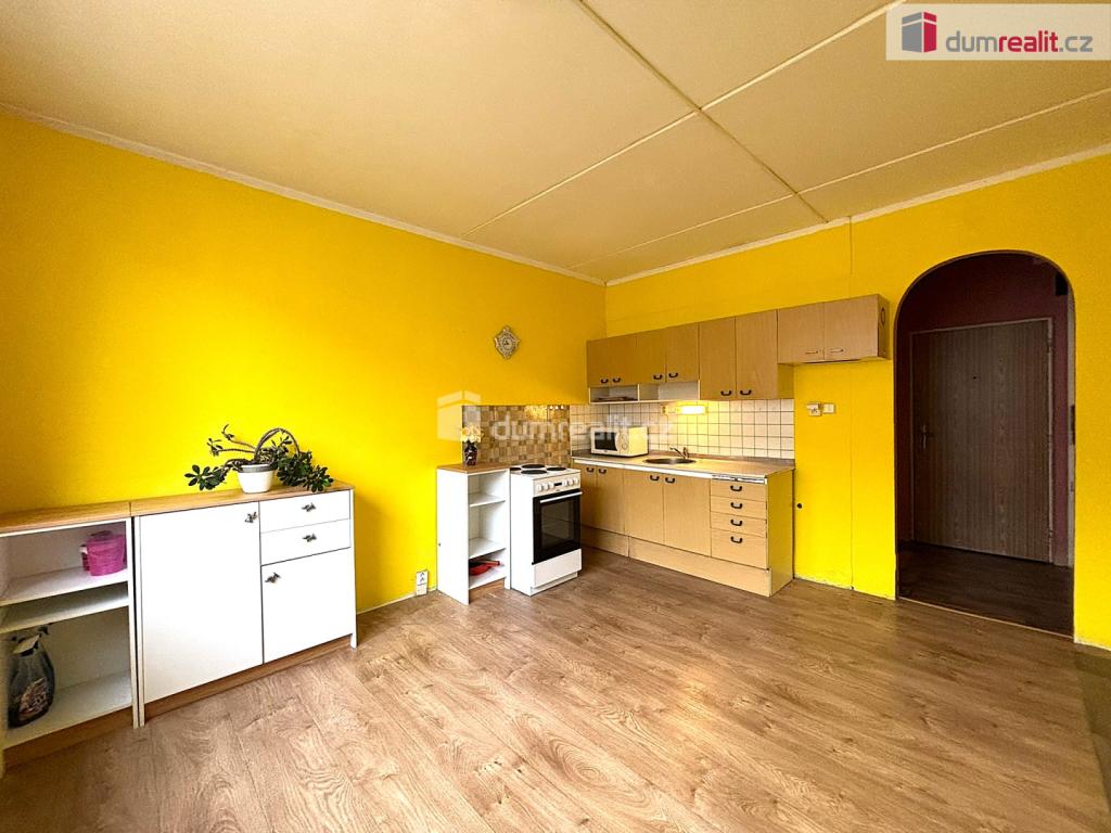 Pronájem bytu 1+1 40 m2