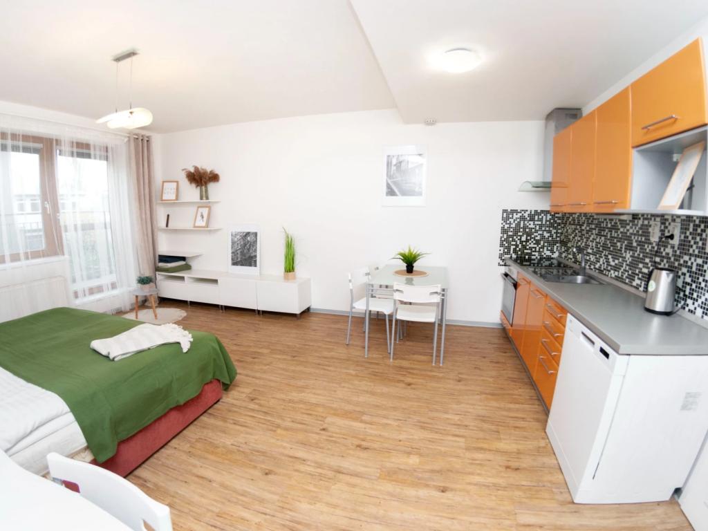 Pronájem bytu 1+kk 33 m2